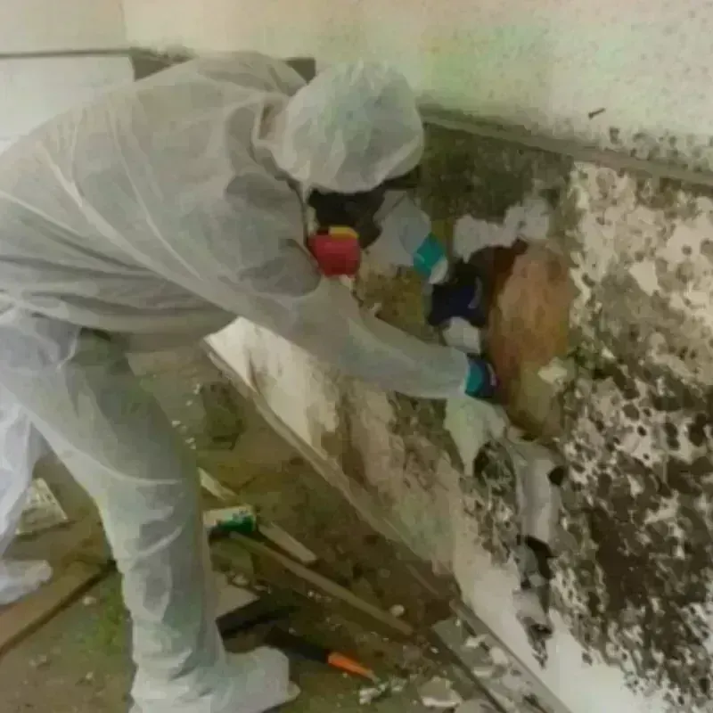 Mold Remediation and Removal in Emerald Isle, NC